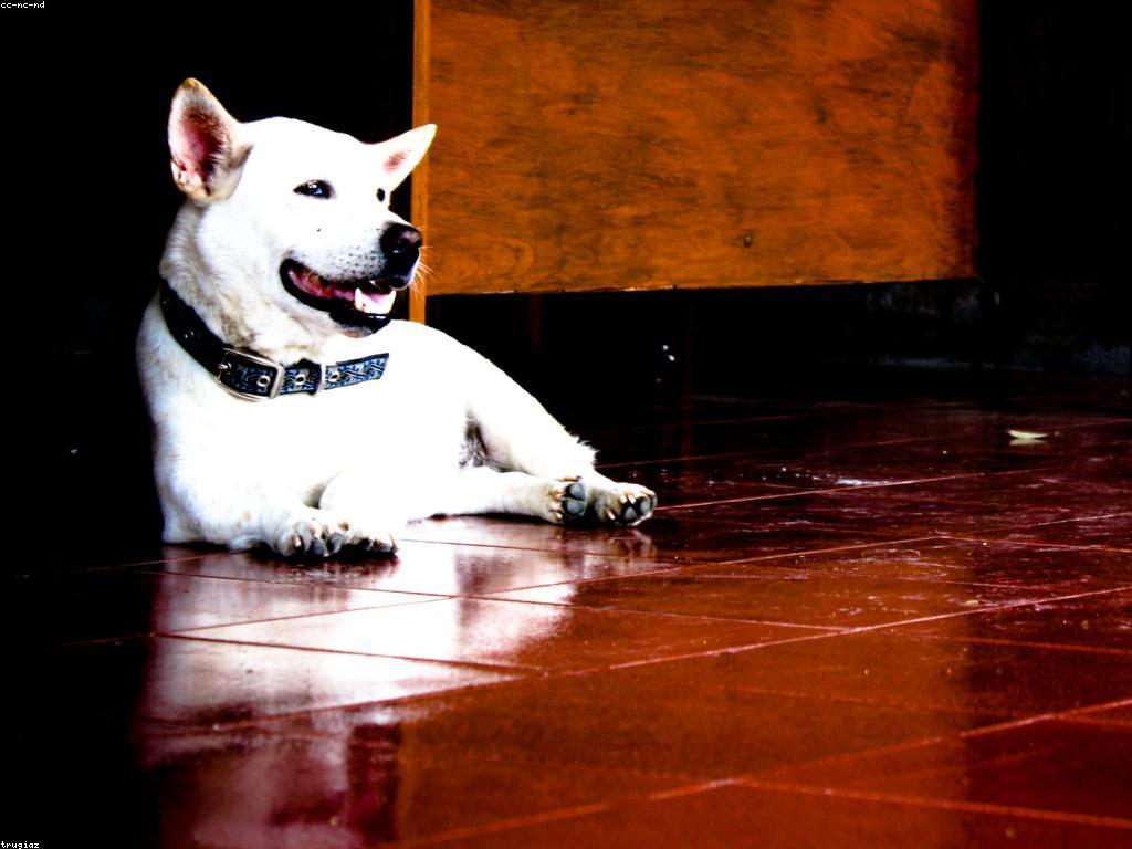 លេងស្លត: ការរៀន និងការផ្សាយព័ត៌មាន