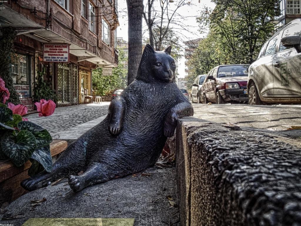 គន្លងនៃការវិនិយោគដ៏មានប្រសិទ្ធិភាព