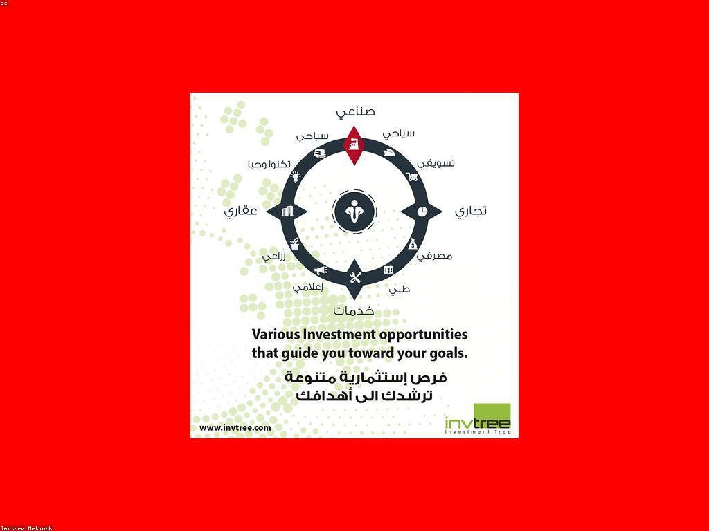 គន្លងនៃការវិនិយោគដ៏មានប្រសិទ្ធិភាព